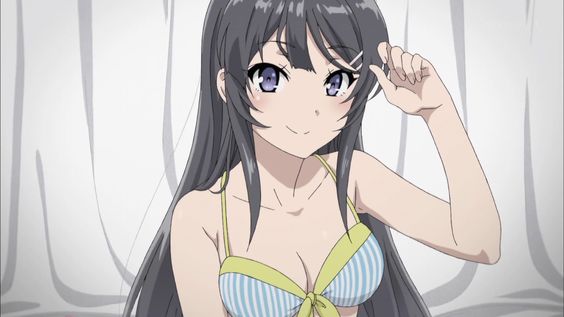 mejores Waifus del anime, Sakurajima Mai, Seishun Buta Yarou wa Bunny Girl Senpai no Yume wo Minai