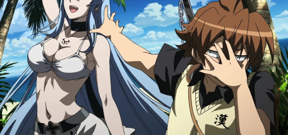 Waifus Hot, Eesdeath, Akame Ga Kill