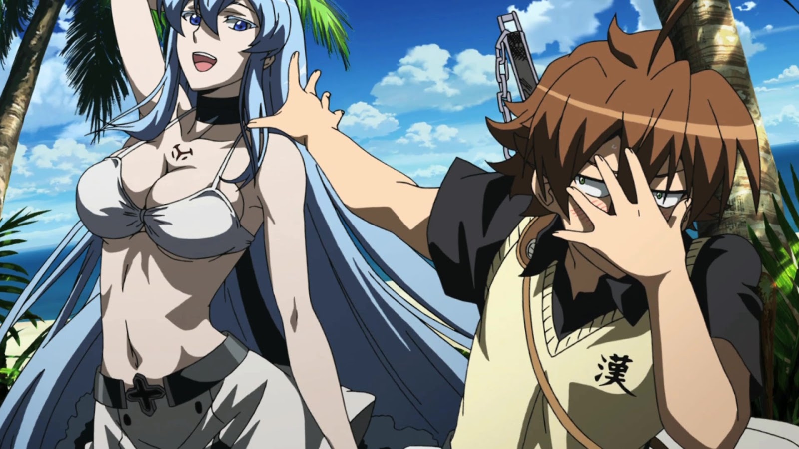 Waifus Hot, Eesdeath, Akame Ga Kill