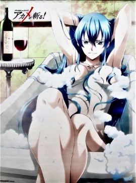 Waifus Hot, Eesdeath, Akame Ga Kill