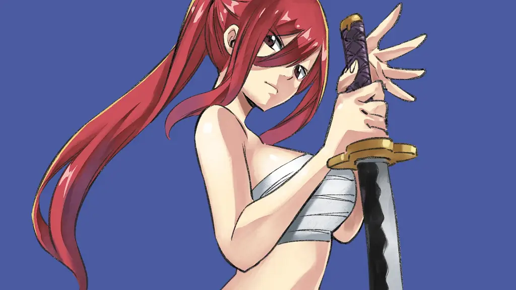 Erza Scarlet (Fairy Tail), Waifus con una Belleza Elegante