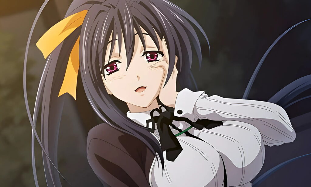 Akeno Himejima, (High School DxD), (bluish-black hair, purple eyes)